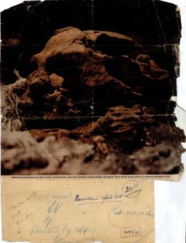 Earth Colored Skull of Ne...