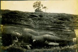 Tantirimale Viharaya and ...