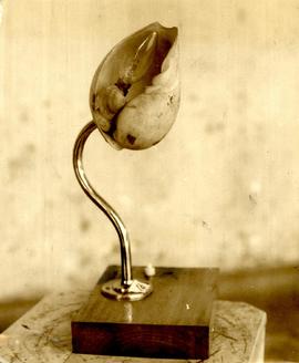 A Neat Lampstand With a S...