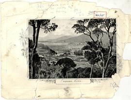 Nuwara Eliya