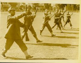 Egyptian Liberation Army