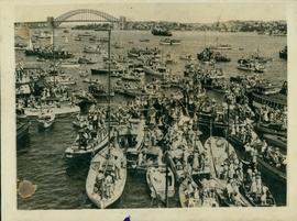 The Scene in Sydney Harbo...