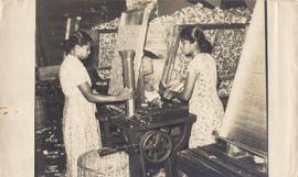 Leather Products,Angola G...