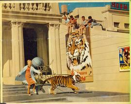 "Striped Voyage"
