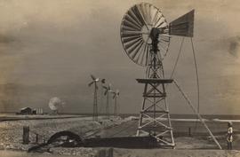 Windmill Operated Dutch D...