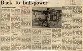 Back to Bull - Power