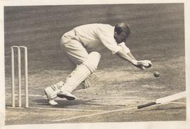 Micky Stewart