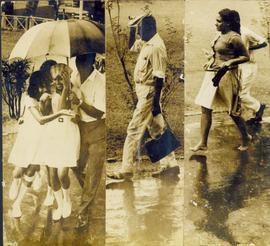 Foll in Colombo,Catching ...
