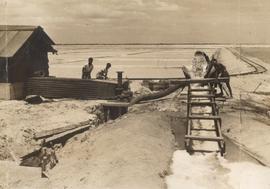Ceylon Builds Up Salt Sur...