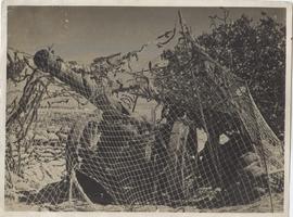 In The Western Desert:A C...