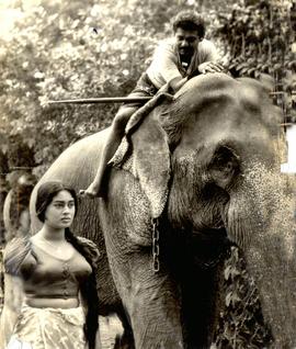 Sinhala Film Photos