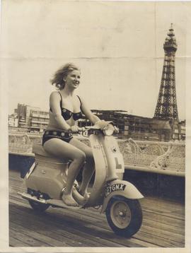 Shapely British Televisio...