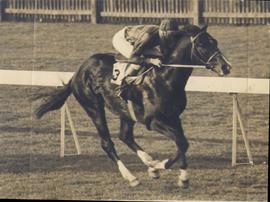 VENTURE VII Winning the M...