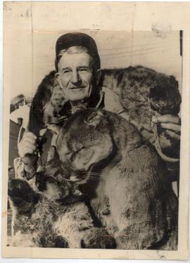 FAMED as a cougar hunter ...