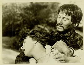 A Scene of Violence From ...