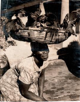 A Woman with a Basket of ...