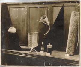 Exhibition of Coconut Pro...