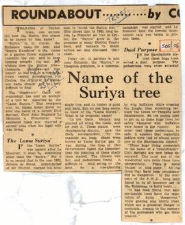 Name Of The Suriya Tree