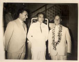 Dr.p.Solari