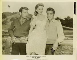 A Scene from "LOVE ME TEN...