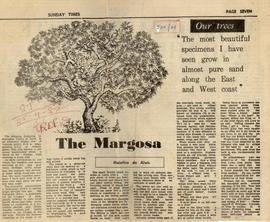 The Margosa