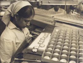 Indian Watch Factory at B...