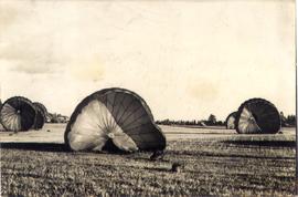 A SIMULTANEOUS landing by...