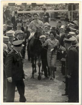 Psidium 66-1 Shock Winner...