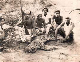 This 9 ft. Leopard was Sh...