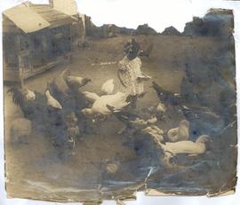 Poultry farming