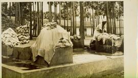 Laundered
