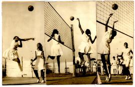 Women in Action in the Fi...