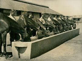 After Arduous Training at...