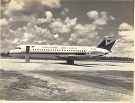 The Philippine Air Lines