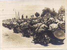 Polish Motorised Forces o...