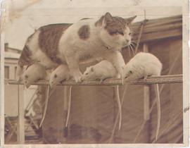 If One Of Ypu So Much As ...