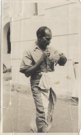 Octopus Caught in Colombo...