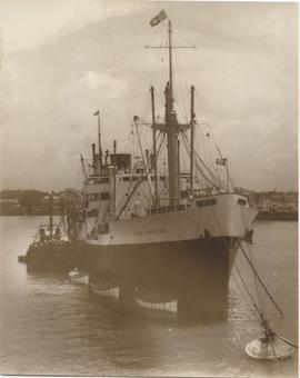 Persons - Local & Foreign