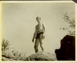 A Tarzan Adventure