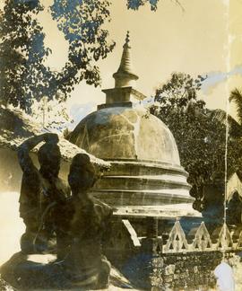 Attanagalla Purana Raja M...