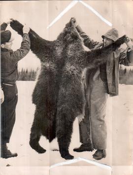 Hunting Animals - local a...