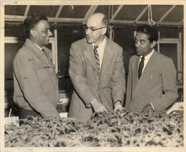 Two Ceylonese, Mr. M.L.C....