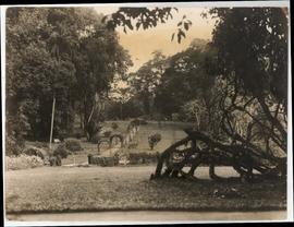 Botanical Gardens at Pera...