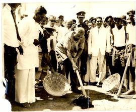 Begining of Farmers Force