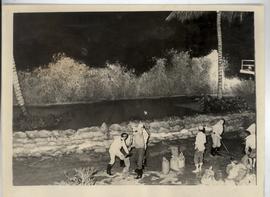 Flooding- " Golden Coast "