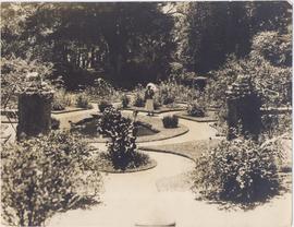 The Hakgala Gardens Could...