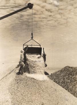 Harvesting and Stacking S...