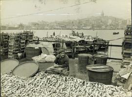 A Fishdealer Waits for Cu...