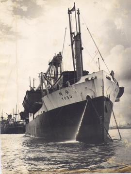 The "Yosu' Laden with Lig...