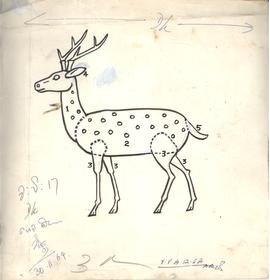 Deers, elks, Mousedeers